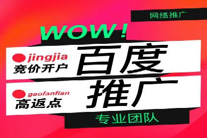 视频类APP中的信息流广告投放效果案例